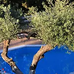 Myrto Homes Lefkada Greece Apartamento *