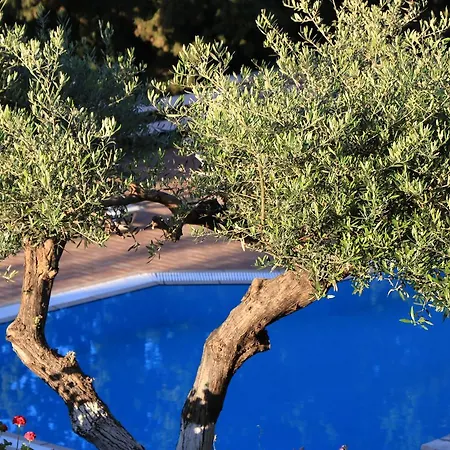 Myrto Homes Lefkada Greece Apartman *
